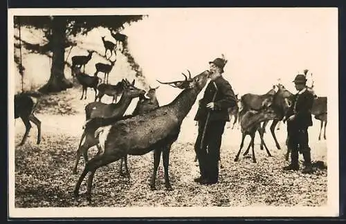 AK Jäger Mandl, Hirsch schleckt einem Jäger das Gesicht ab