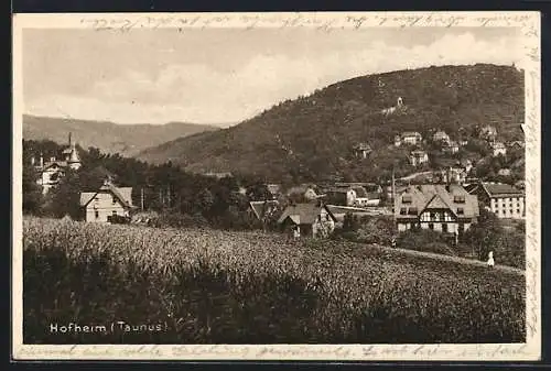 AK Hofheim /Taunus, Partie am Stadtrand