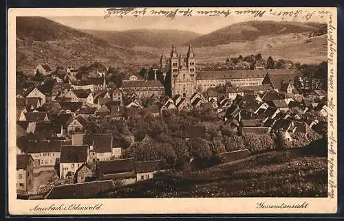 AK Amorbach i. Odenwald, Ortsansicht mit Kirche