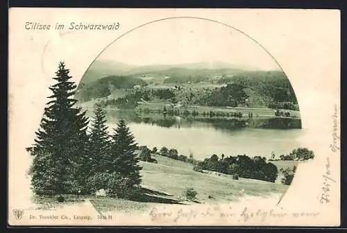 AK Titisee im Schwarzwald, Partie vom See