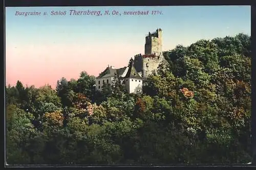 AK Thernberg /N.-Oe., Burgruine und Schloss