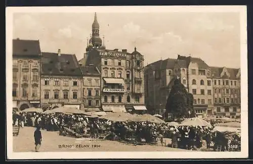 AK Brno, Zelny Trh.