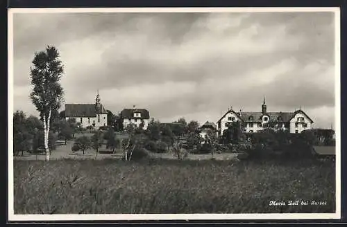 AK Maria Zell bei Sursee, Ortspartie mit Kirche