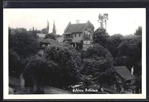 AK Bellikon, Schloss Bellikon