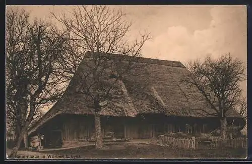 AK Worben b. Lyss, Bauernhaus