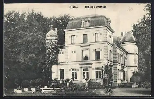 AK Dilbeek, Chateau Delfosse