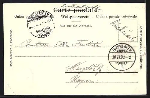 AK Interlaken, Ruine Weissenau und Harder