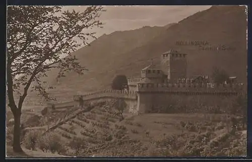 AK Bellinzona, Castello di Svitto