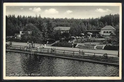 AK Selb /Bay. Ostmark, Ansicht vom Waldbad