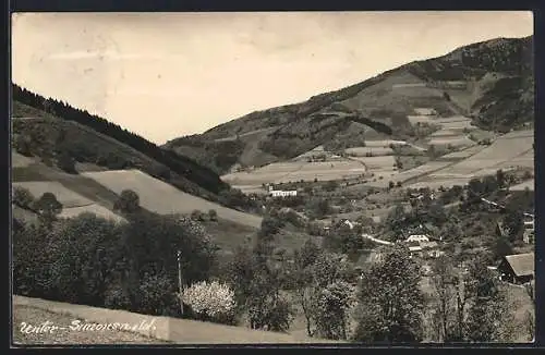 AK Unter-Simonswald, Bergige Landschaft