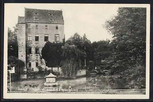 AK Dresden, Schloss Schönfeld, über Bad Weisser Hirsch