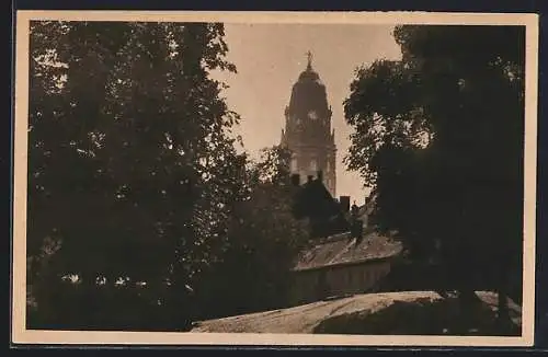 AK Dresden, Am alten botanischen Garten, Blick zum Rathausturm