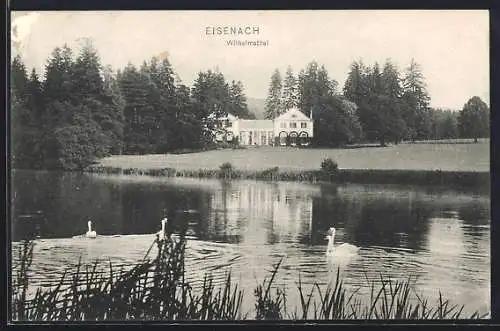 AK Eisenach, Schloss Wilhelmstal mit Schwanenteich