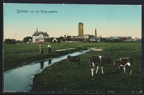 AK Borkum, Ortspartie mit Kühen von der Wiese gesehen