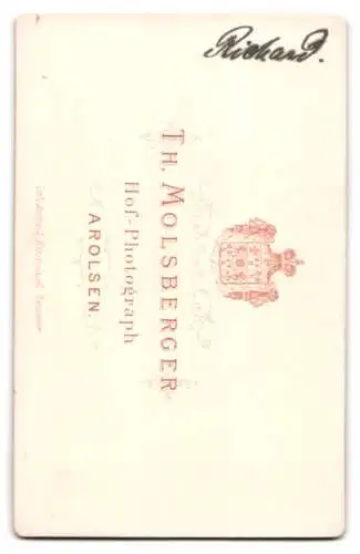 Fotografie Th. Molsberger, Arolsen, Frau Richard in gemustertem Kleid