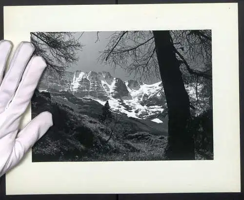 Fotografie unbekannter Fotograf, Ansicht Lötschental, Blick zum verschneiten Beichgrat