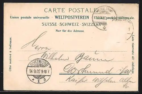 AK Thun, Ruderpartie bei Scherzligen