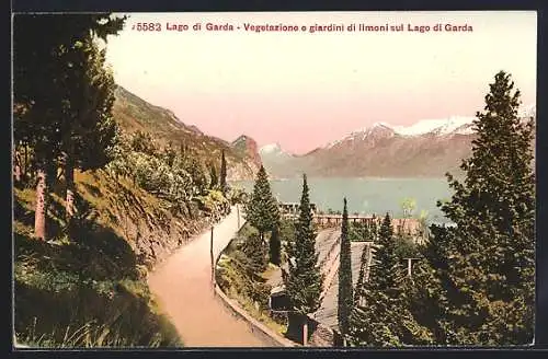 AK Limone /Lago di Garda, Vegetazione e gardini di limoni sul Lago di Garda