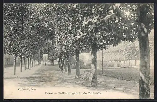 AK Sens, l'allée de gauche du Tapis-Vert