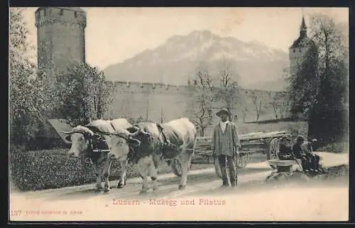 AK Luzern, Musegg und Pilatus, Mann mit Fuhrwerk, Kühe