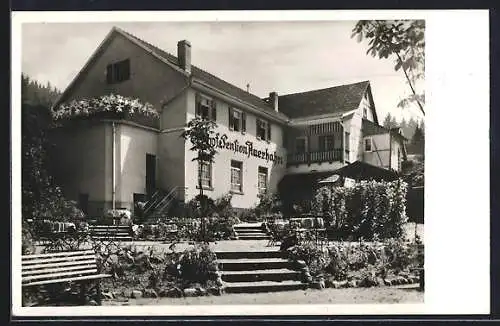 AK Scheuern i. Murgtal, Gasthof zum Auerhahn, Bes. Otto Frank, Aussenansicht