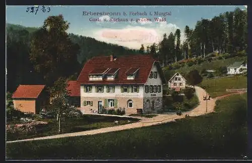 AK Erbersbronn b. Forbach, Gasthaus zum grünen Wald, Aussenansicht