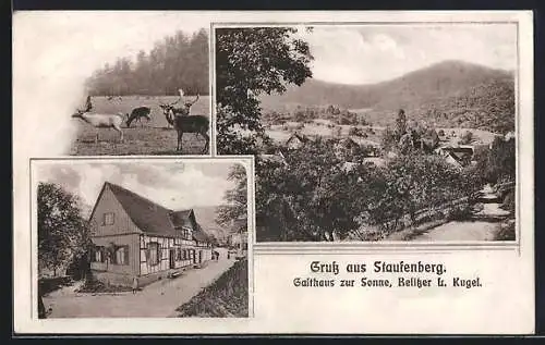 AK Staufenberg / Murgtal, Gasthaus zur Sonne, Bes. L. Kugel, Damwildgatter und Ortsansicht