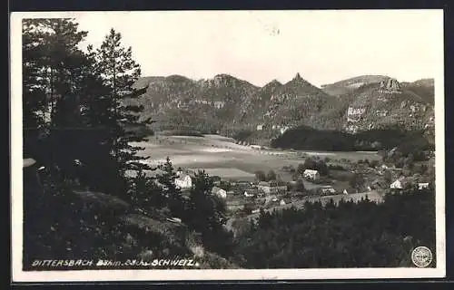 AK Dittersbach / Jetrichovice, Panoramaansicht