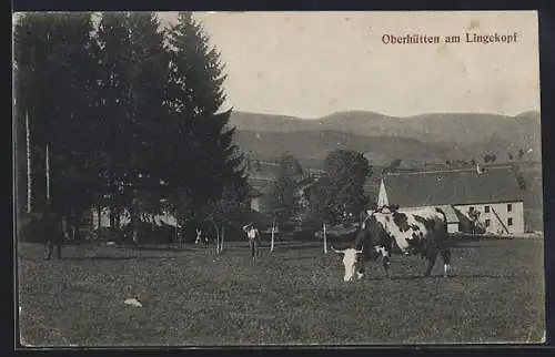 AK Oberhütten, Panorama mit Kuhweide