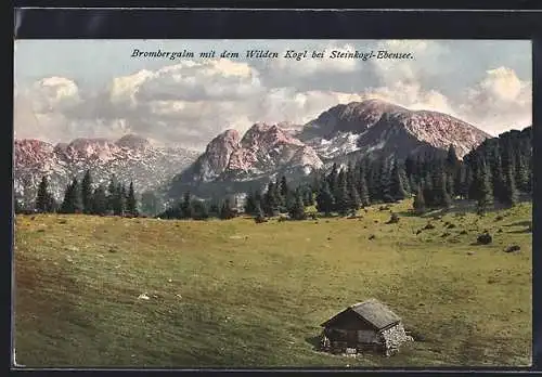 AK Steinkogl-Ebensee, Brombergalm mit dem Wilden Kogl