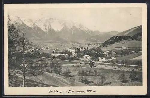 AK Puchberg am Schneeberg, Teilansicht mit Bergen