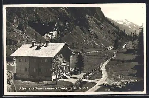 AK Mayrhofen im Zillertal, Alpengasthaus Lacknerbrunn mit Feldweg