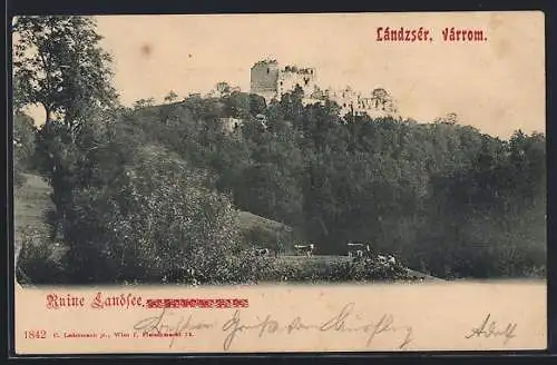 AK Markt St. Martin /Burgenland, Ruine Landsee mit Wald