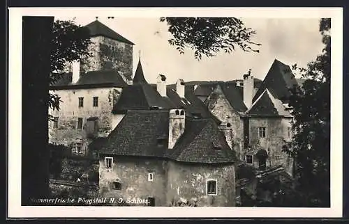 AK Pöggstall /N. Ö., Blick auf das Schloss