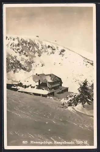 AK Hampelbaude /Riesengebirge, Berghütte im Sonnenschein