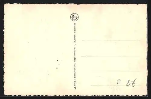 AK Bazel-Waas, Chateau du Vicomte Vilain XIIII.