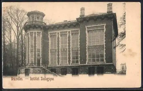 AK Bruxelles, Institut Zoologique