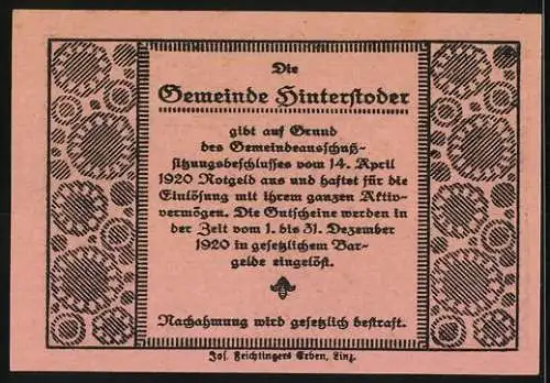 Notgeld Hinterstoder 1920, 20 Heller, Berglandschaft und Text