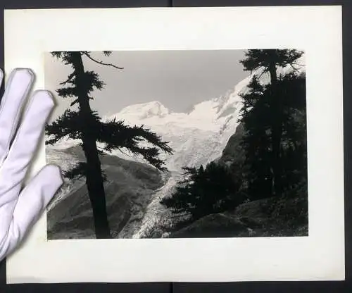 Fotografie unbekannter Fotograf und Ort, Gerbirgsmassiv mit Gletscher, Gebirgsgrat in den Alpen