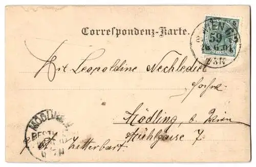 14 Fotografien unbekannter Fotograf, Ansicht Wien, Gasthäuser, Kneipen, Wiener Typen, Wohn - & Geschäftshäuser, Festzug