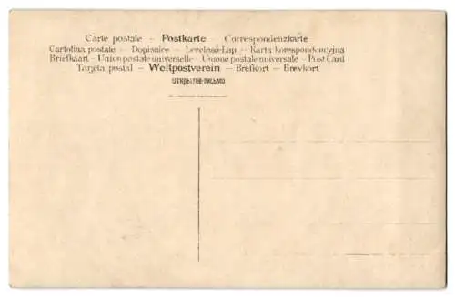 14 Fotografien Ansicht Wien, Gasthäuser, Kneipen, Wiener Typen, Wohn - & Geschäftshäuser, Festzug uvm.