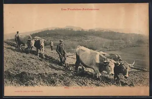 AK Les Pyrénées-Ariégeoises, Scène de Labour