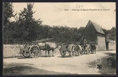 AK Attelage de Boeufs, Paysans de la Lozère