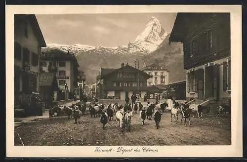 AK Zermatt, Départ des chèvres