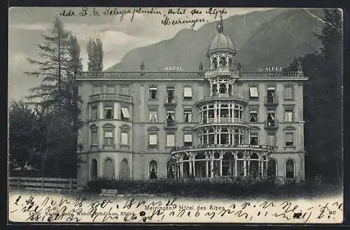 AK Meiringen, Hotel des Alpes