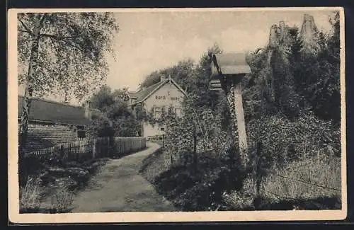 AK Celje / Cilli, Strassenpartie bei der Burgruine