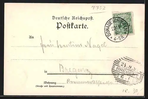 Lithographie Reichenau / Bodensee, Totalansicht