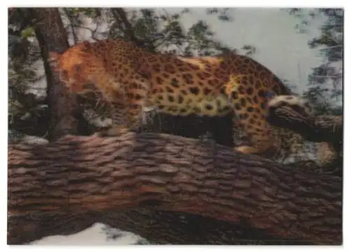 3D-AK Leopard steht auf einem Baumstamm