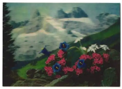 3D-AK alpine Blumen vor Gebirgslandschaft, Edelweiss, Enzian