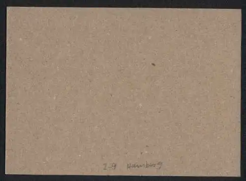 Briefmarken Hamburg, Marken der Private Stadtbriefbeförderung Hammonia, 2 und 3 Pfennig, Private Stadtpost